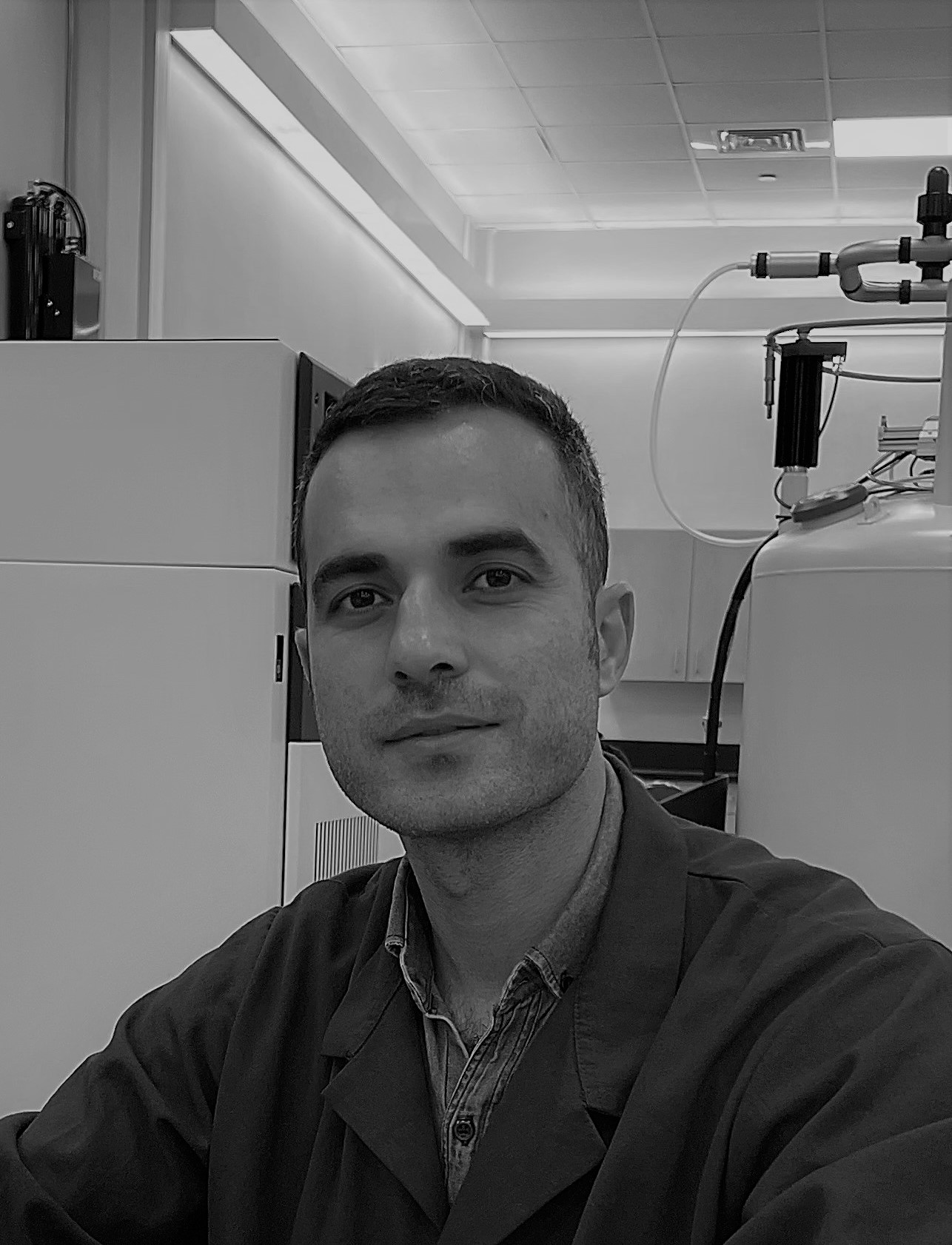 Photo of Mohsen Teimouri